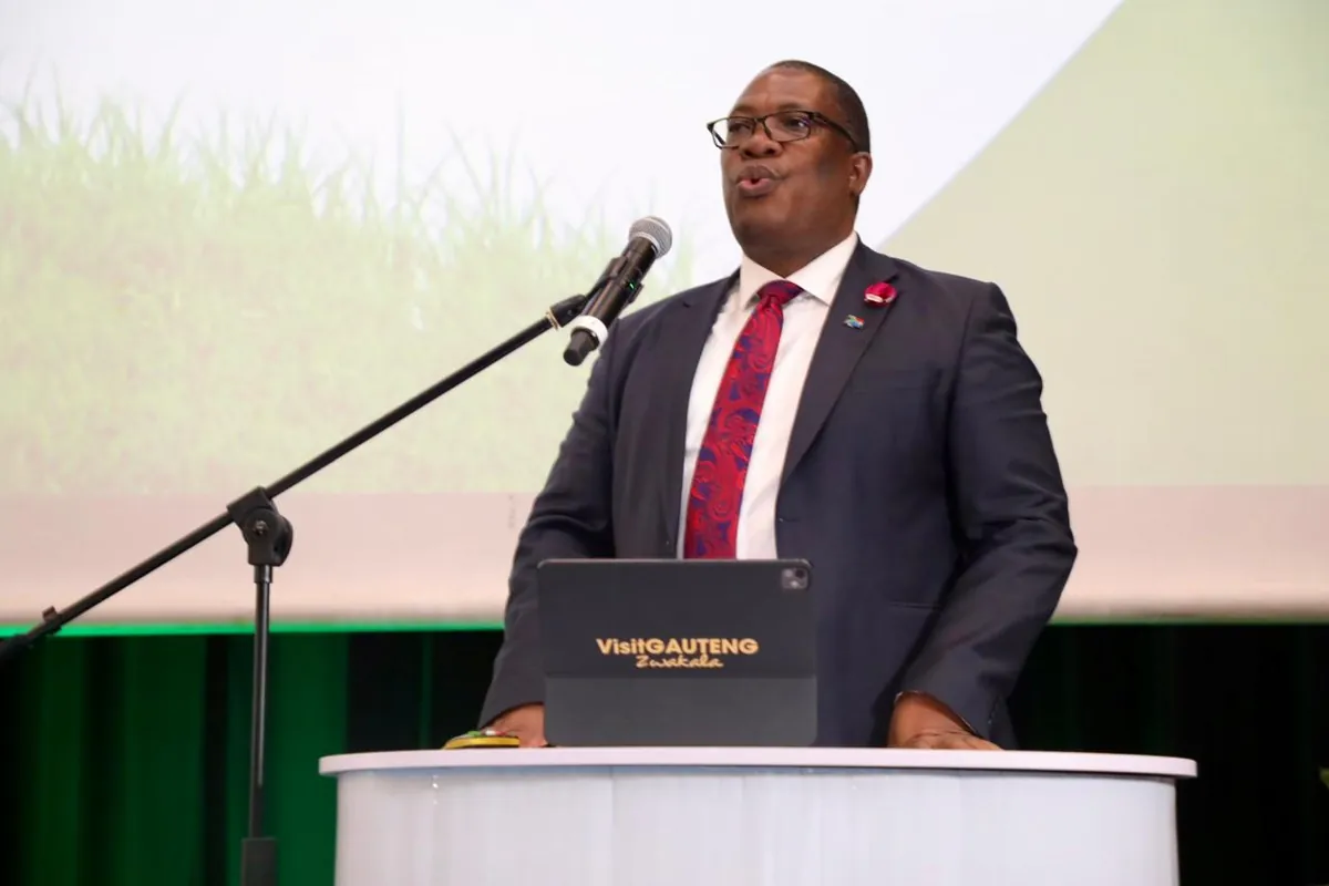 A provincial government official addressing delegates from the podium at the Gauteng Climate Change Indaba