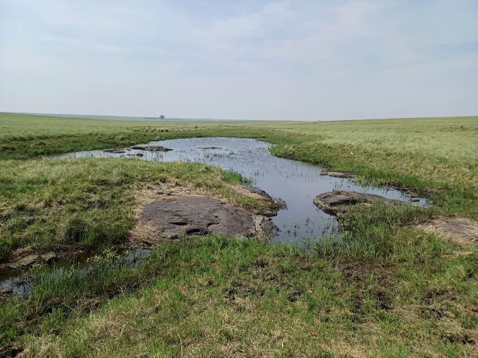 Wetland landscape accompanying the provincial climate response statement