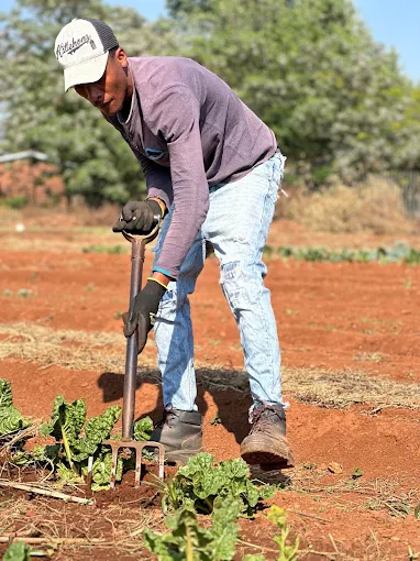 A farm worker in the field, part of the coverage of the MEC's 2025 opening remarks